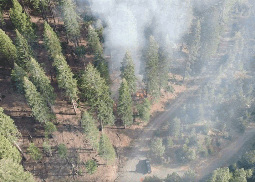 A drone photograph captures the initial stage of a prescribed burn conducted by UCI researchers in April at the Blodgett Forest Research Station in Georgetown, California. Banerjee Lab / UCI