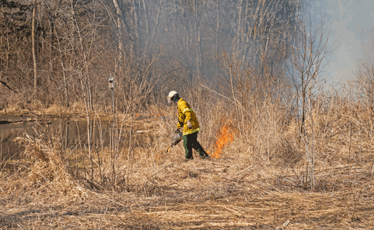 Recommending an extension to California’s prescribed burning season