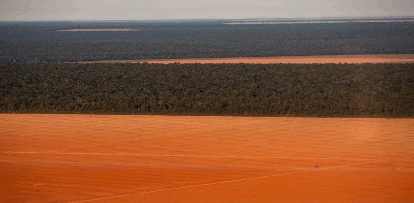 Deforested fields in southern Amazonia, Mato Grosso, Brazil, being prepared for soybean planting. Paulo Brando / UCI