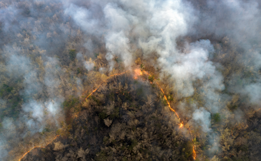 Wildfires emitted a record-breaking amount of carbon dioxide in 2021